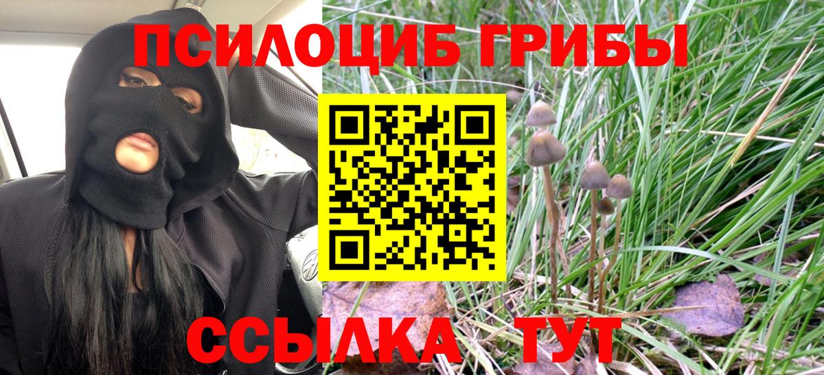 Псилоцибиновые грибы ЛСД Нурлат