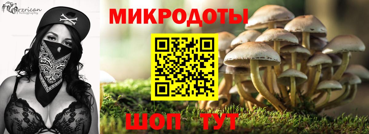 Галлюциногенные грибы ЛСД  Вход с VPN  Нурлат  купить закладку  Псилоцибиновые грибы мухоморы 
